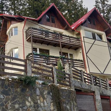 Casa Adina Sinaia Exterior foto